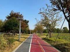 -澹台湖公园