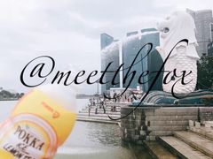 -鱼尾狮公园