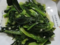 -煲来饱去冷水鱼