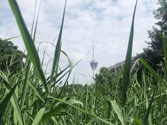 -成都市活水公园
