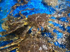 -盒马鲜生(馥邦国际店)