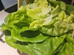 -九孔·筒骨莲藕汤锅(大明宫万达店)