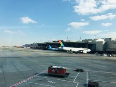 -奥利弗·雷金纳德·坦博国际机场