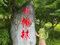 -龙头寺公园
