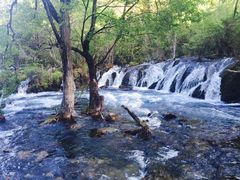 -九寨沟-树正沟