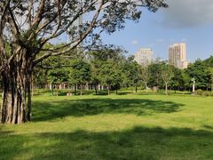 -广州珠江公园
