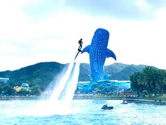 -珠海长隆海洋王国