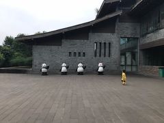 -都江堰中华大熊猫苑