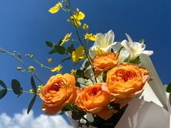 -弗劳尔花艺坊(龙涛店)