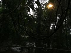 -天门沟九州驿站树上汤泉