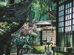 -凤栖山
