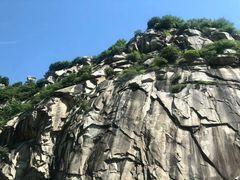 -王顺山国家森林公园