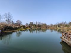 -桤木河湿地公园