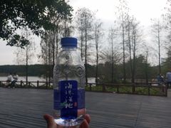 -海珠湖公园