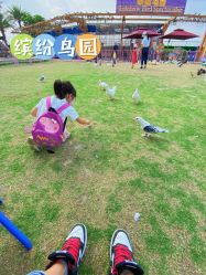 -欢乐舟·舟舟玩乐园