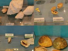 -浙江自然博物院(杭州馆)