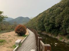 -徐小包的奶茶(柯桥鉴湖路店)