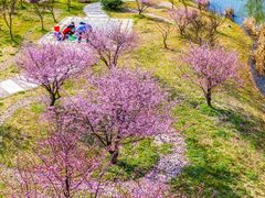 -石塘人家