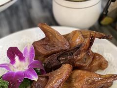 -鸽鸟轩(石岐店)