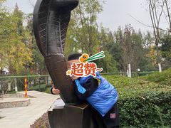 -成飞公园