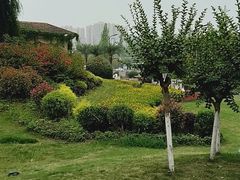 -府河摄影公园