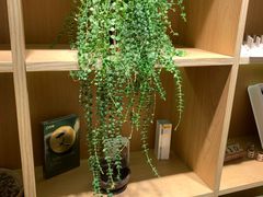 -左悦·艾灸调理·推拿按摩·精油SPA(卓悦汇店)