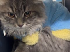 -佳雯宠物医院·皮肤科·内外科(春晓路分院)