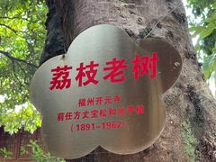 -开元寺