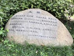 -之江大学-旧址