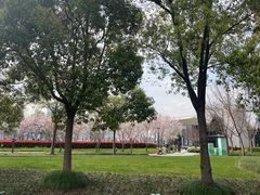 -上海山野camping·户外天幕烧烤·团建拓展营地
