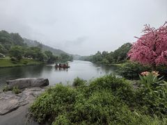 -常德桃花源景区