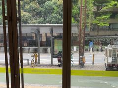 -瑞鹏宠物医院·夜间急症·心超·猫科(祖庙分店)