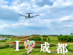 -空港花田景区
