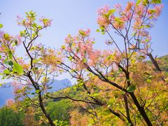 -周口店坡峰岭风景区
