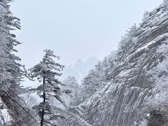 -洛阳白云山景区