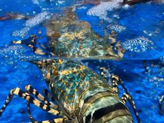 -马王堆海鲜水产市场