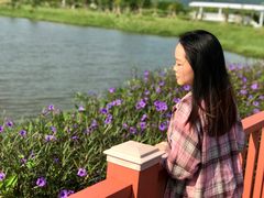 -芒洲湿地公园