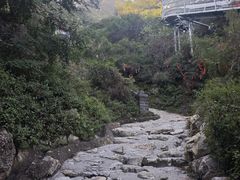 -鸡鸣山旅游景区