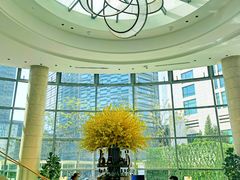 -Plush大堂酒廊(北京金融街威斯汀大酒店)