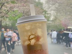 -LELECHA乐乐茶(新街口大洋店)