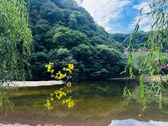 -少华山国家森林公园