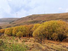 -塞罕坝国家级自然保护区