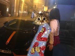-兰桂坊