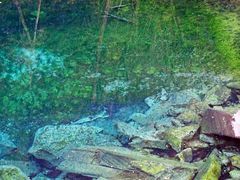 -叠溪松坪沟景区