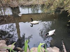 -临沂动植物园