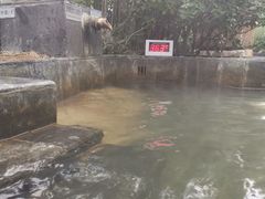 -西安国际创新人才交流中心•药浴温泉