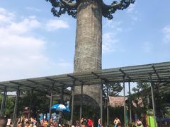 -苏州乐园森林水世界