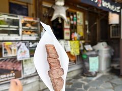 -白川乡与五箇山的合掌构造村落