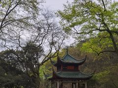 -岳麓山风景名胜区