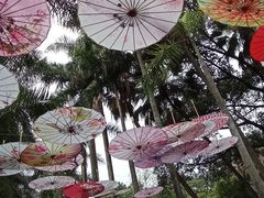 -华南国家植物园-售票处